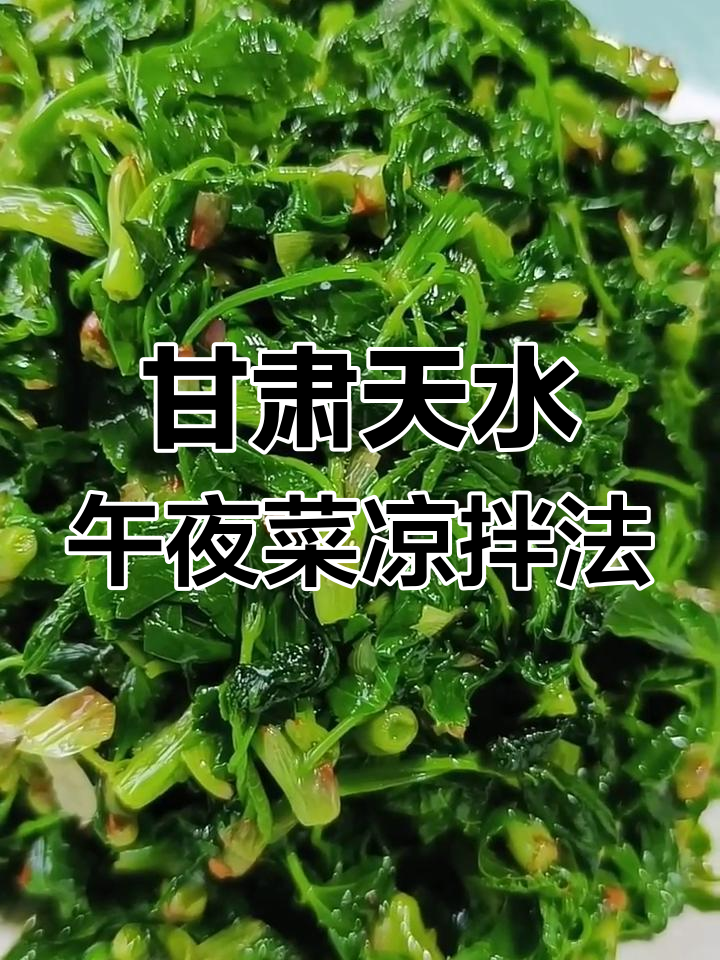 天水稀有野菜午夜菜的独特做法,鲜美又药用