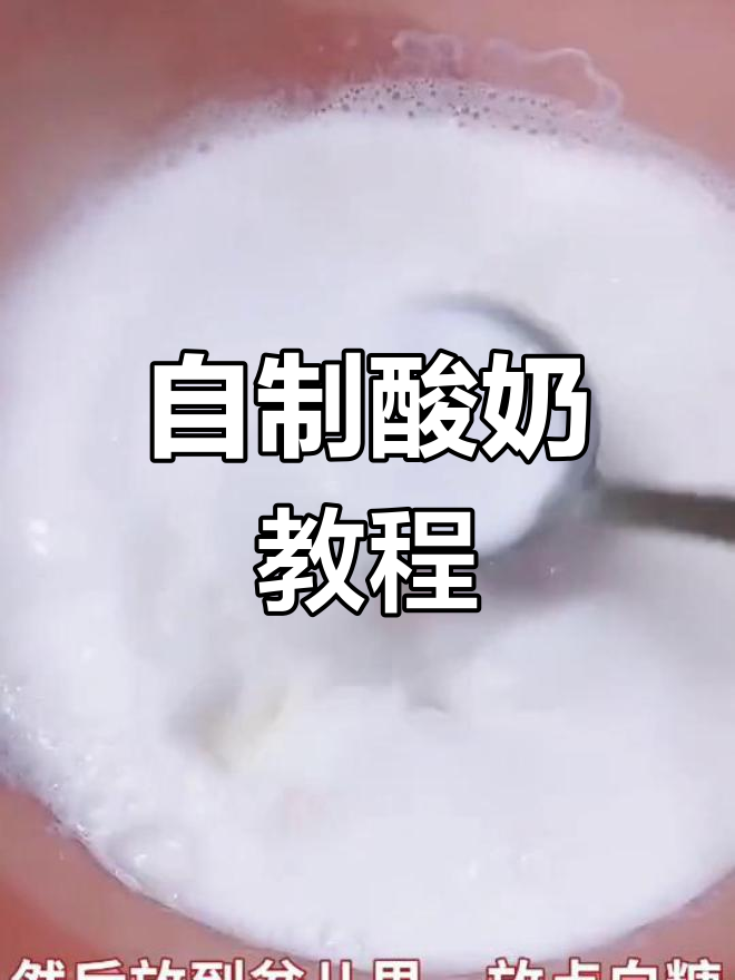 晚上做酸奶,放凉后冷藏四小时,早餐新选择!