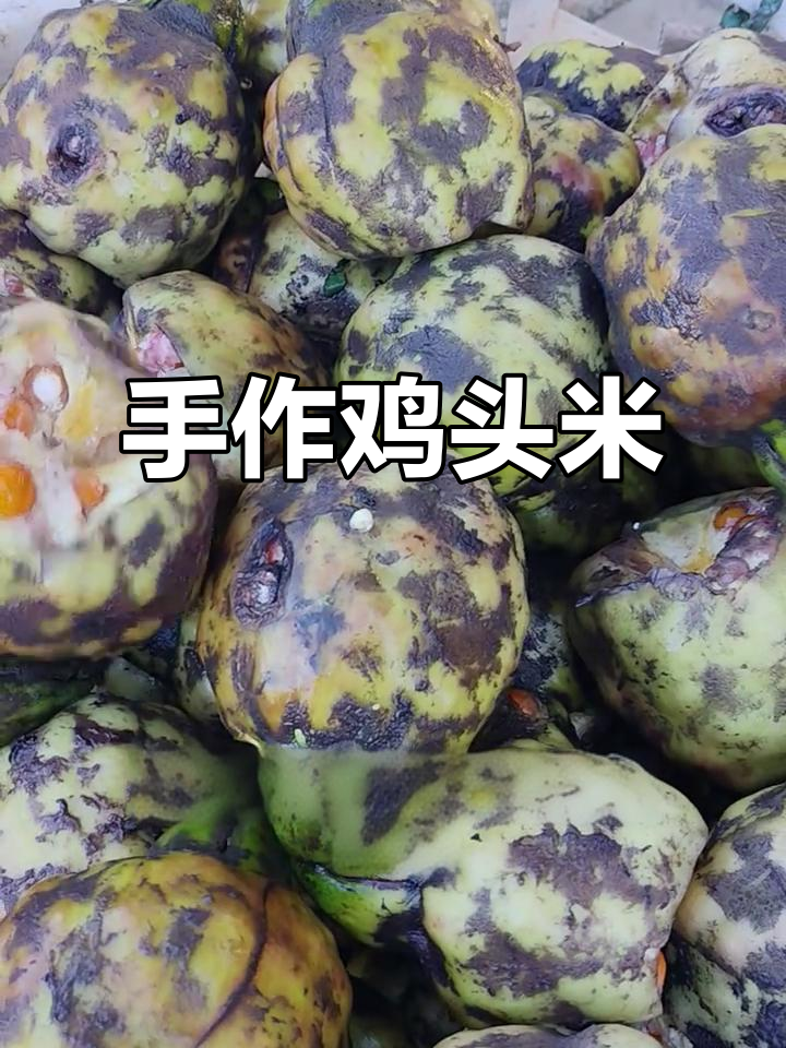 2025年8月15日,苏州鸡头米手工剥制凝聚匠心与新鲜