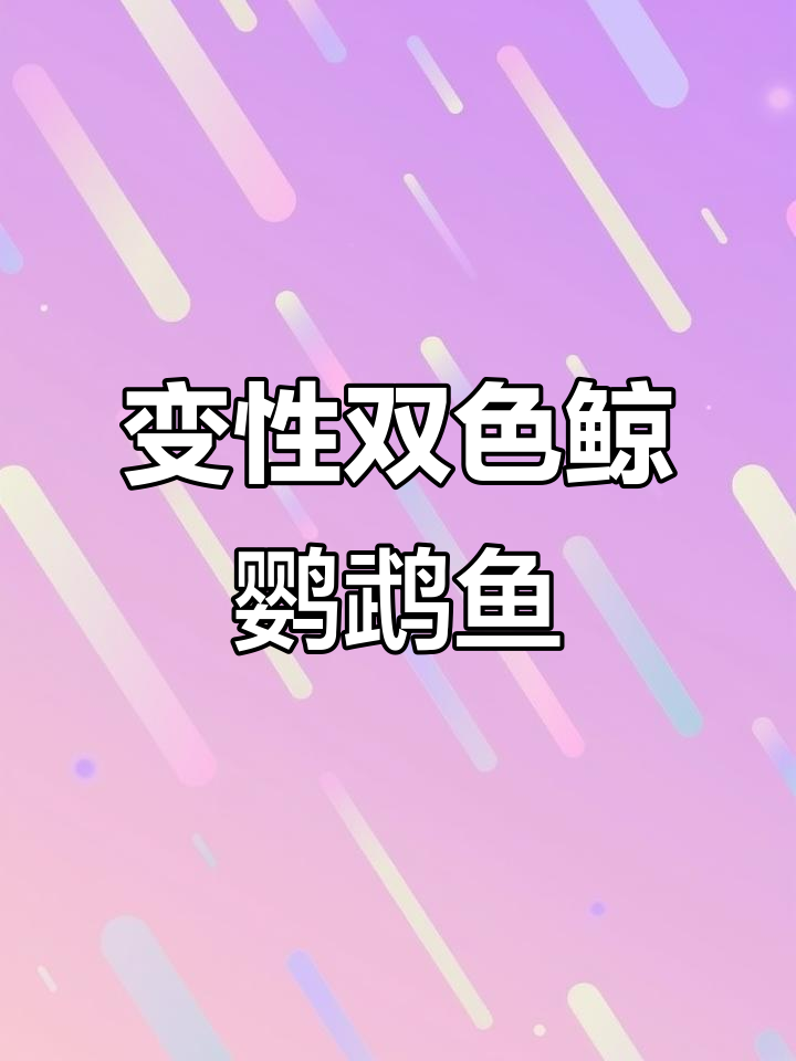 变性双色鲸鹦鹉鱼