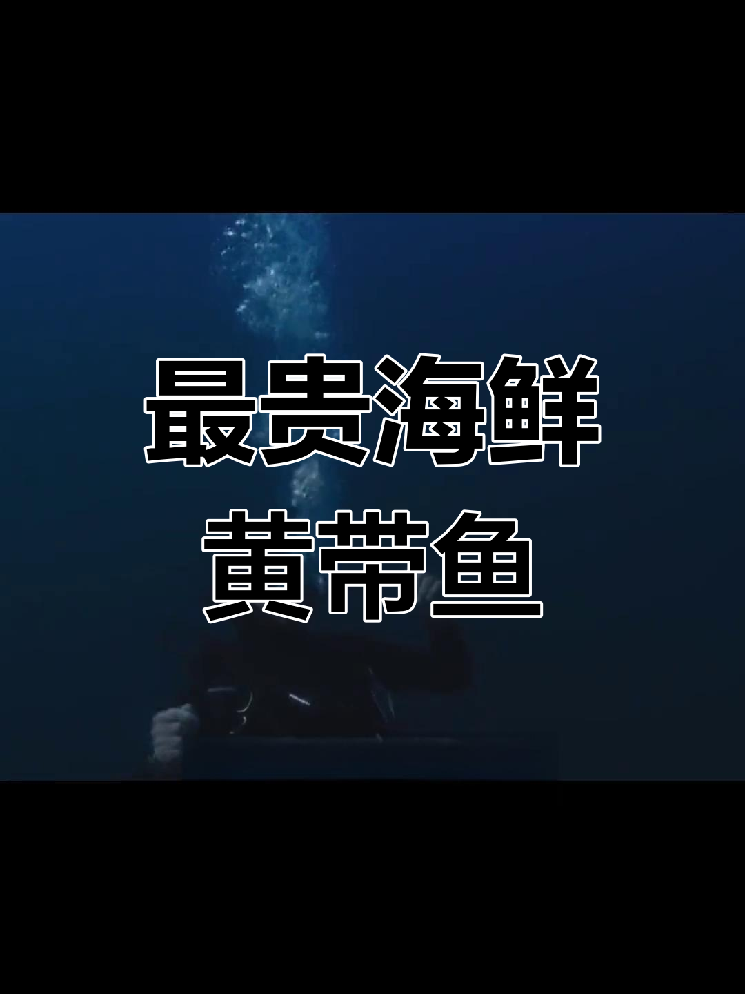 世界上最贵的海鲜是什么?皇带鱼揭秘
