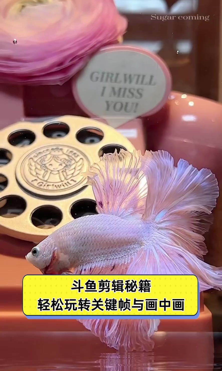 斗鱼剪辑秘籍,轻松玩转关键帧与画中画