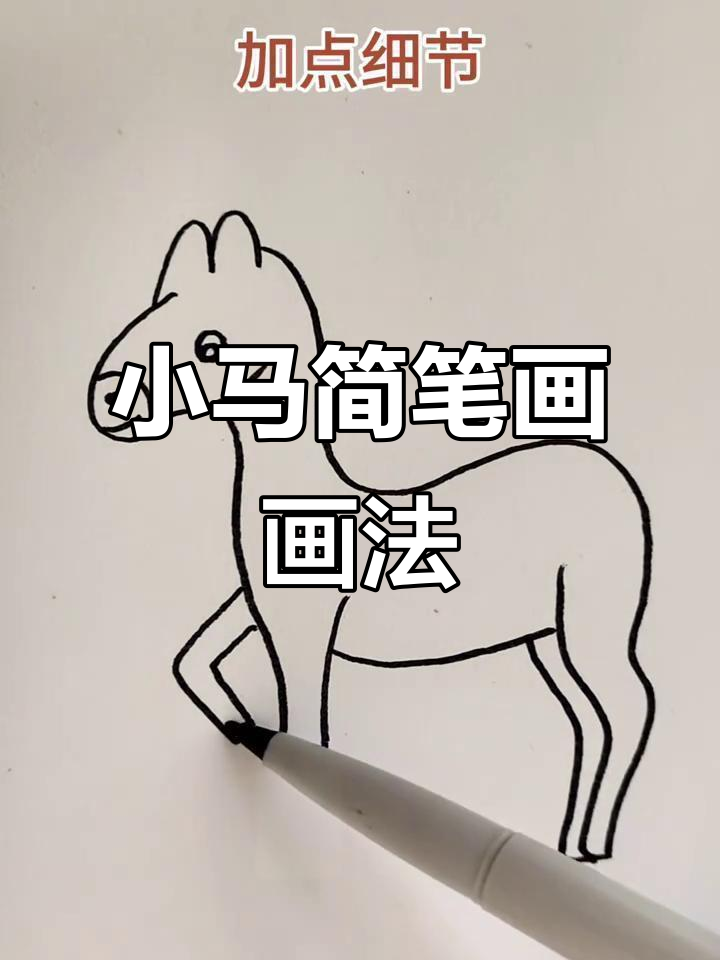 马年大吉,轻松学画小马简笔画