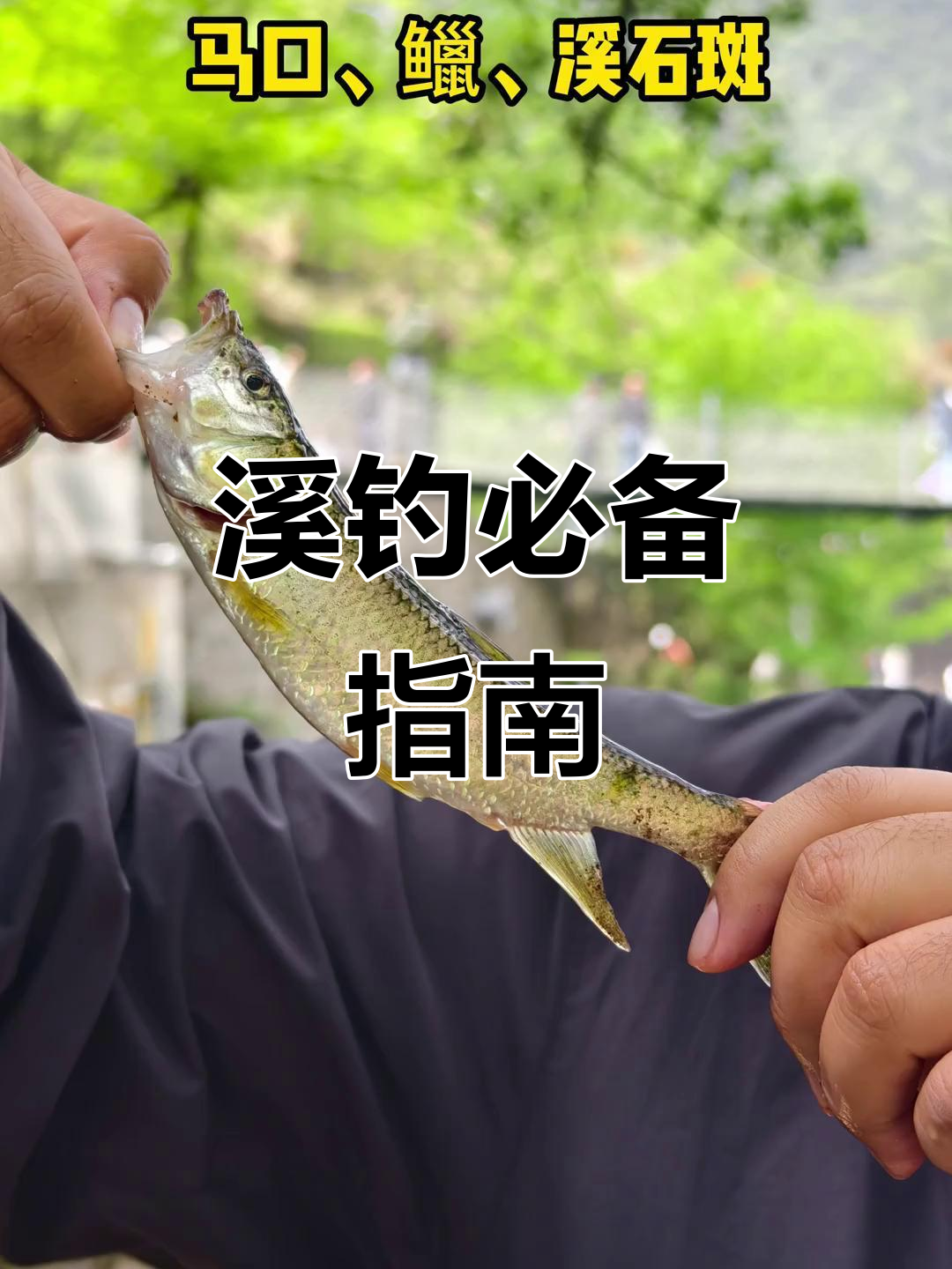 溪流钓鱼全攻略:装备选择与技巧