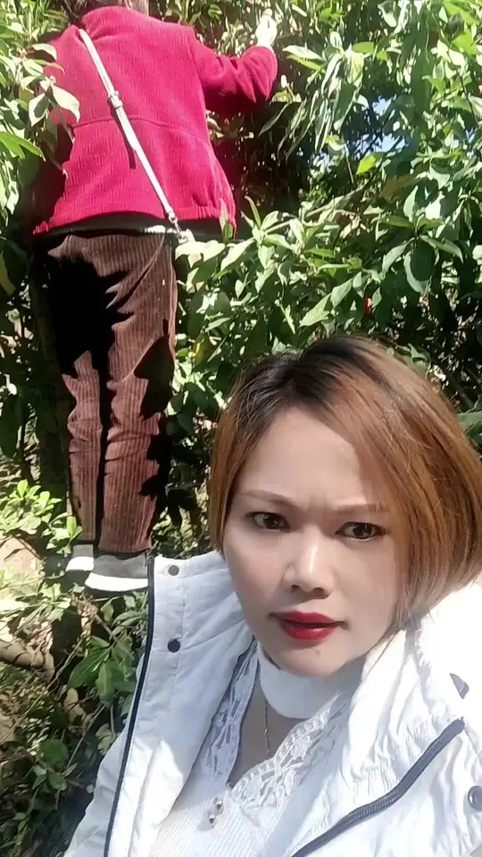 鸡嗉子的好处居然这么多!不了解太可惜了