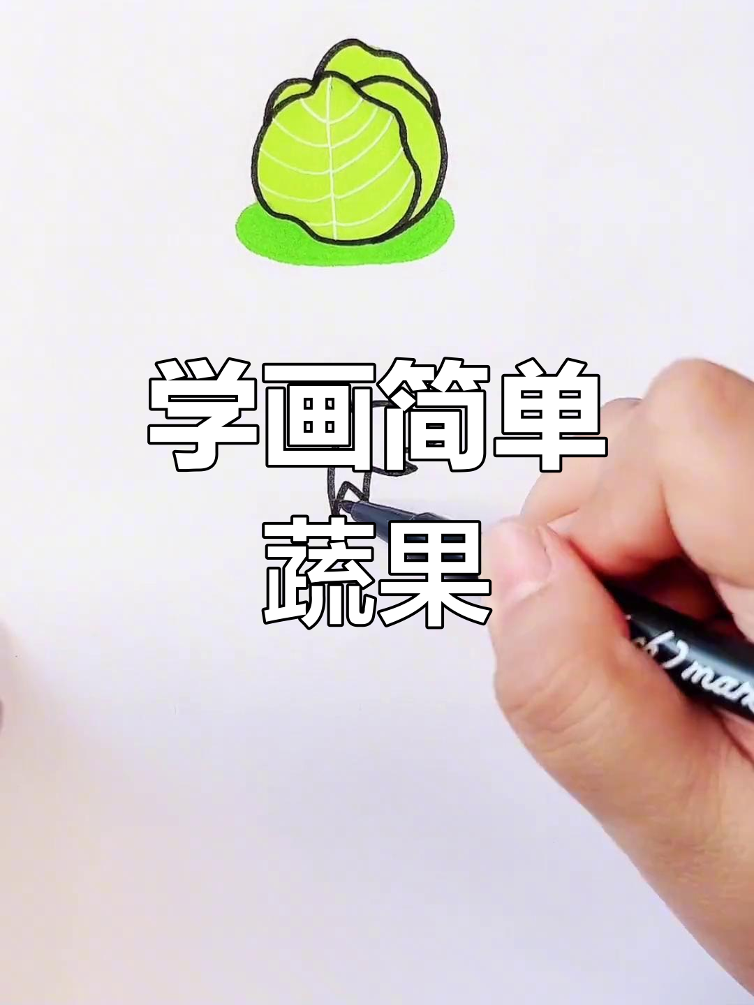 晚餐吃什么?蔬菜简笔画教程