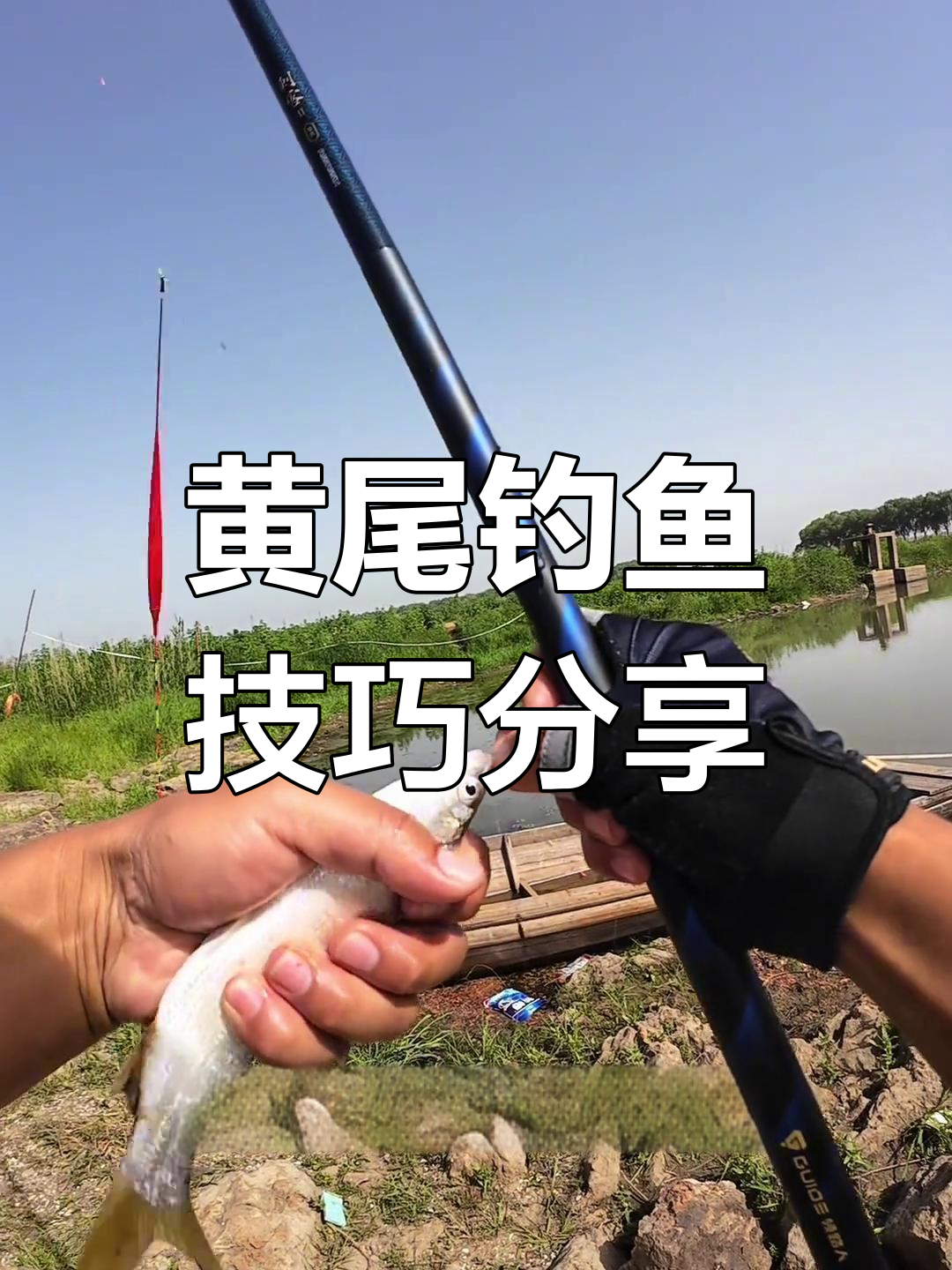 低温下如何调钓黄尾鱼?实战技巧大公开
