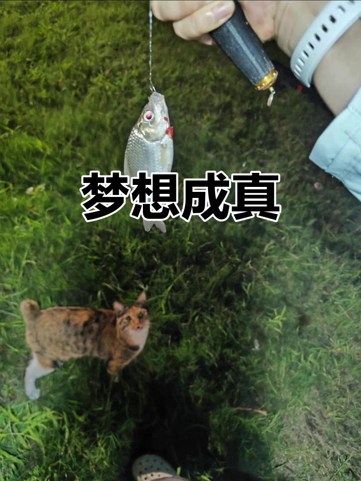 昨晚梦到钓鱼,今天真的大获全胜!