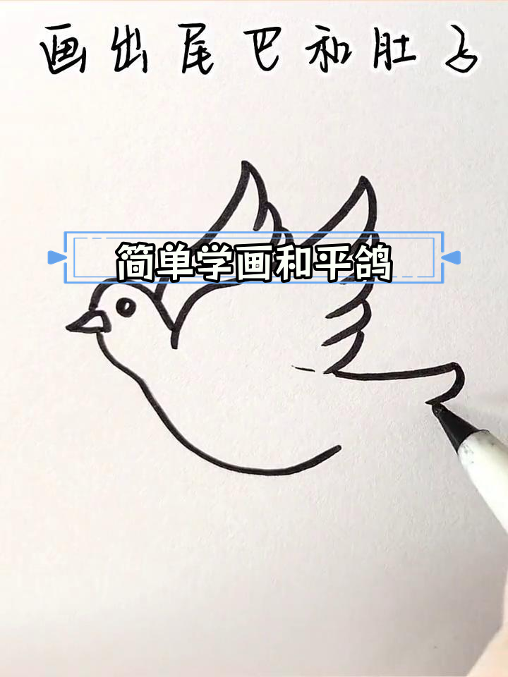 国庆节和平鸽简笔画教程