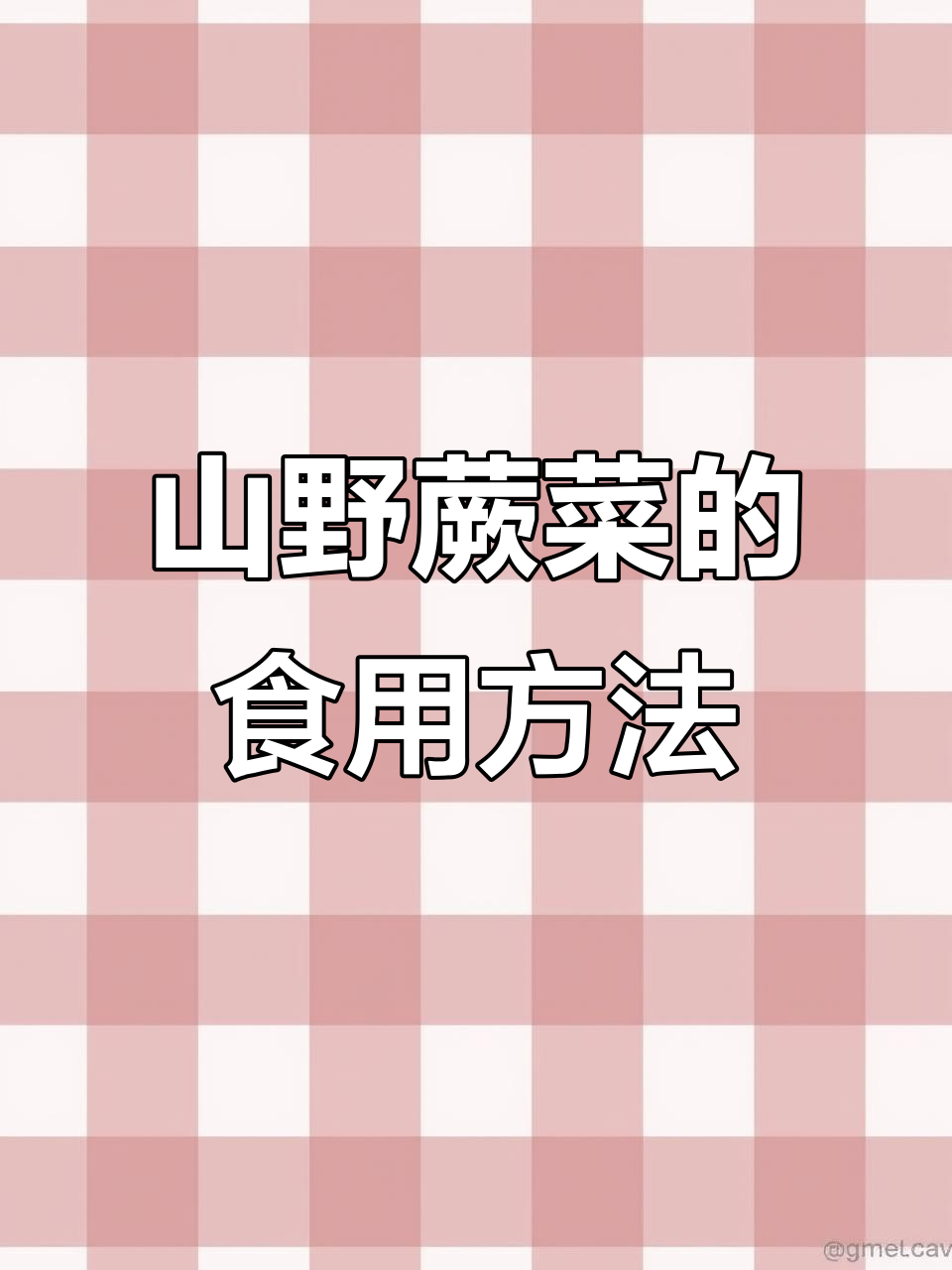 深山蕨菜采摘与制作全攻略,教你正确吃法与药用技巧