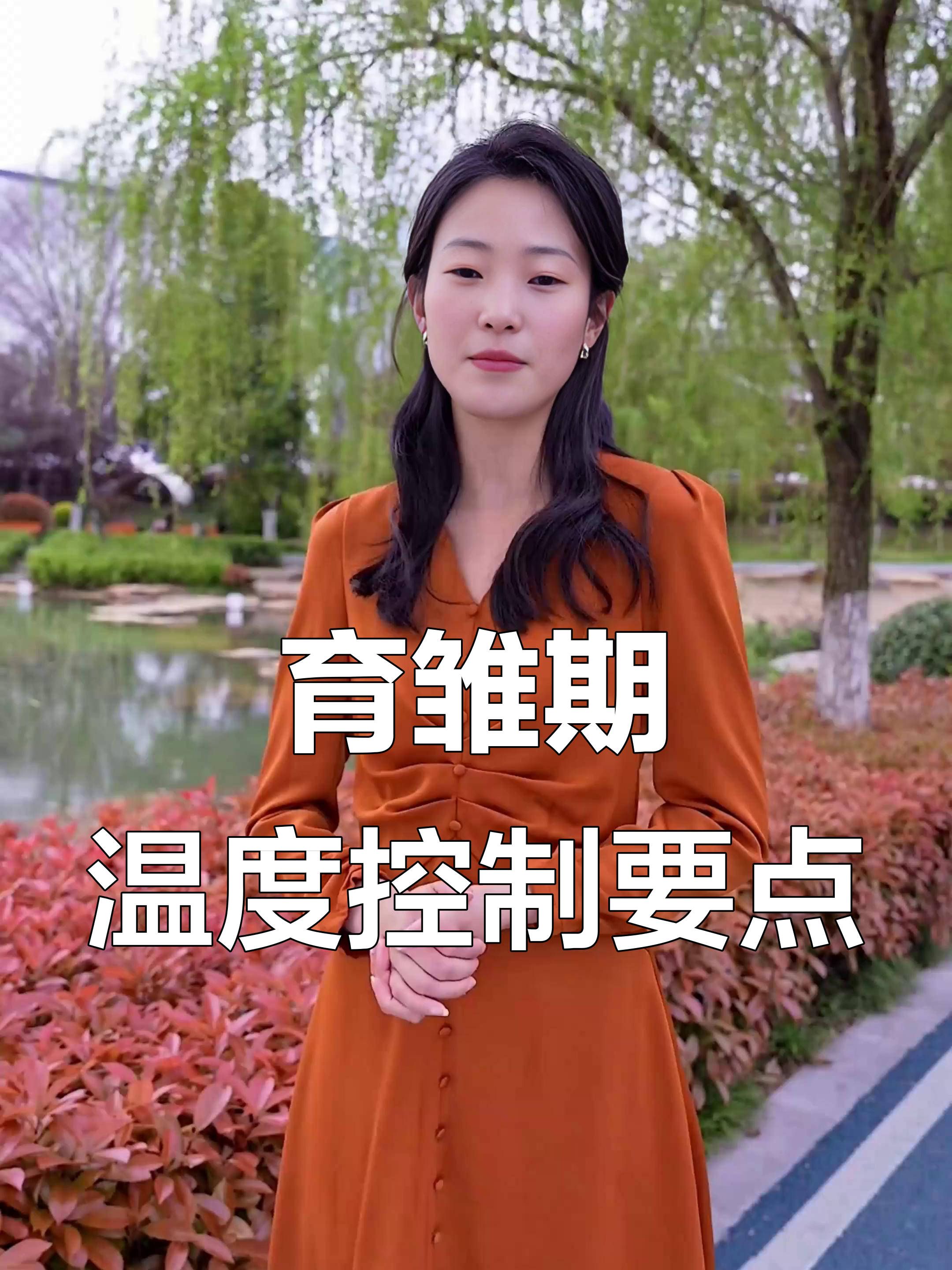 817肉鸡育雏期高温管理技巧,通风调节要谨慎
