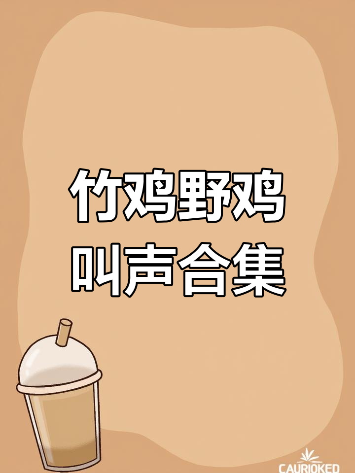 户外竹鸡与野鸡的叫声大比拼,冲堂音震撼来袭