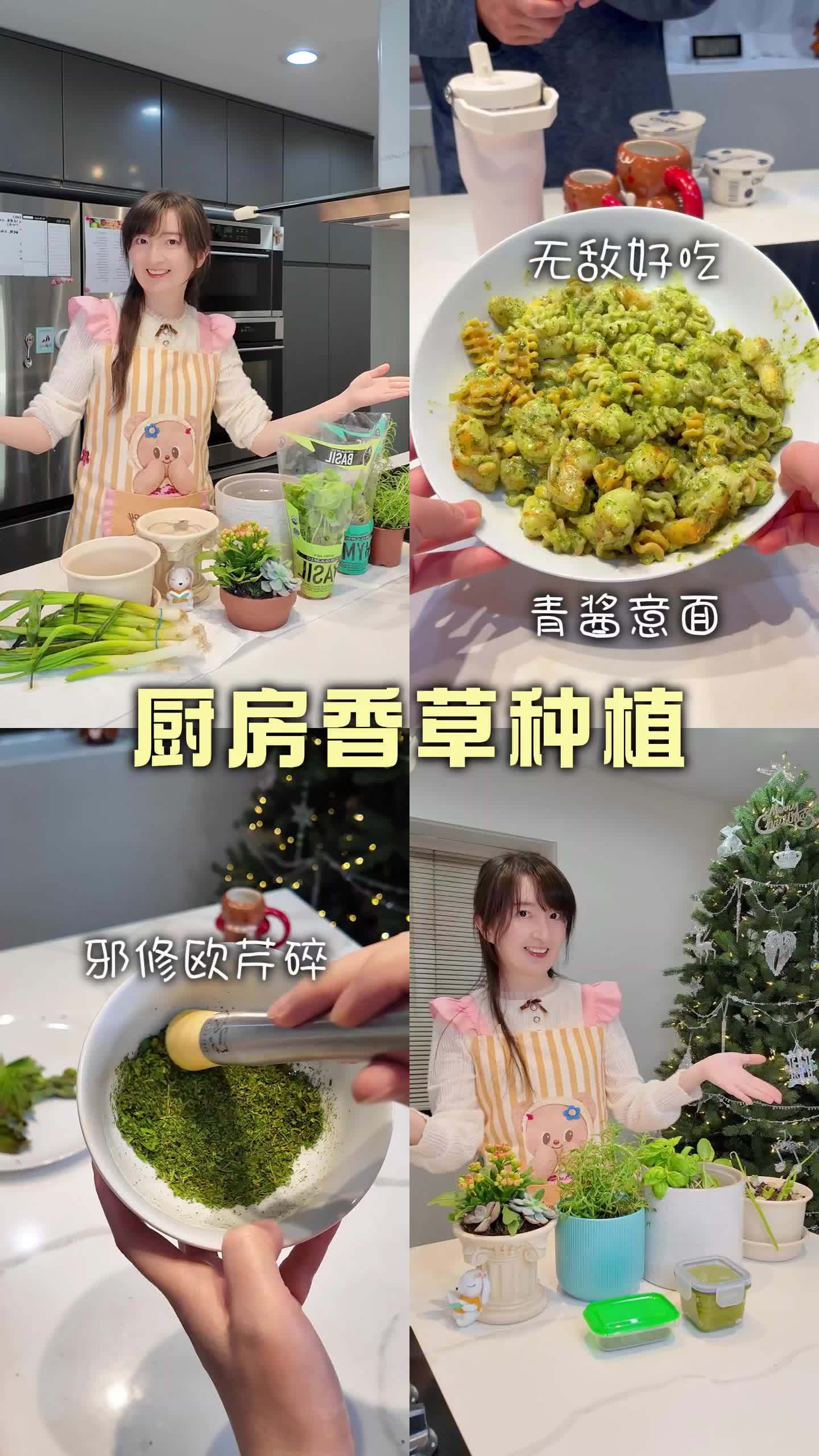 厨房种植小天地-爆赞的青酱意面太好吃 邪修 欧芹碎 香草植物 种植 做菜
