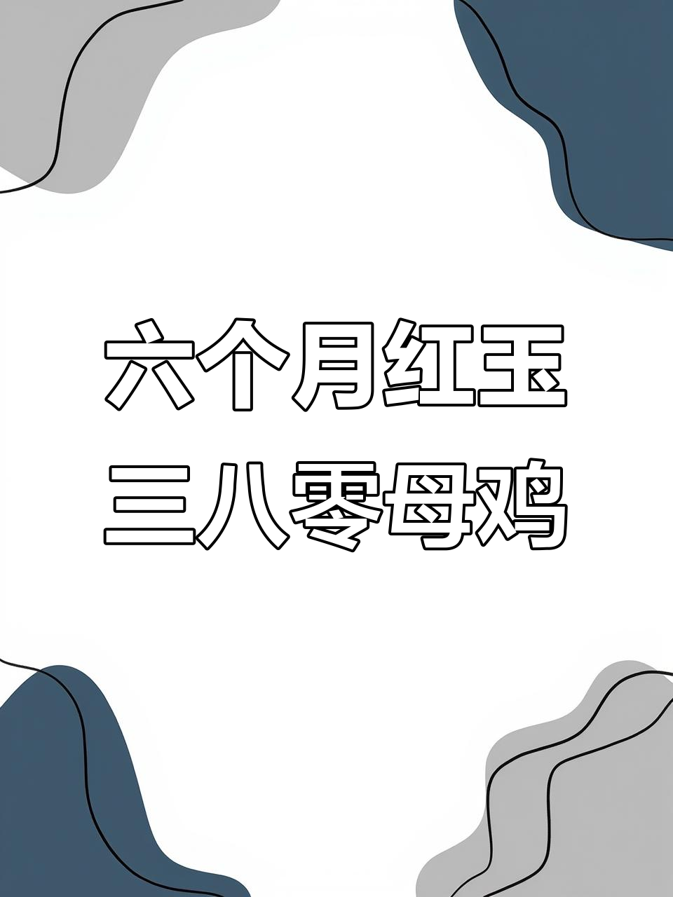 红玉三八零母鸡:六个多月开始产蛋,散养圈养皆宜