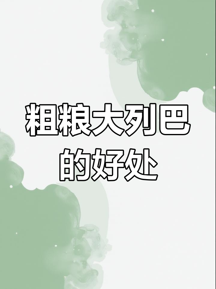 大列巴黑麦与全麦的区别解析