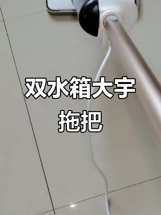 大宇蒸汽拖把,双水箱设计超省心,高温杀菌轻松搞定