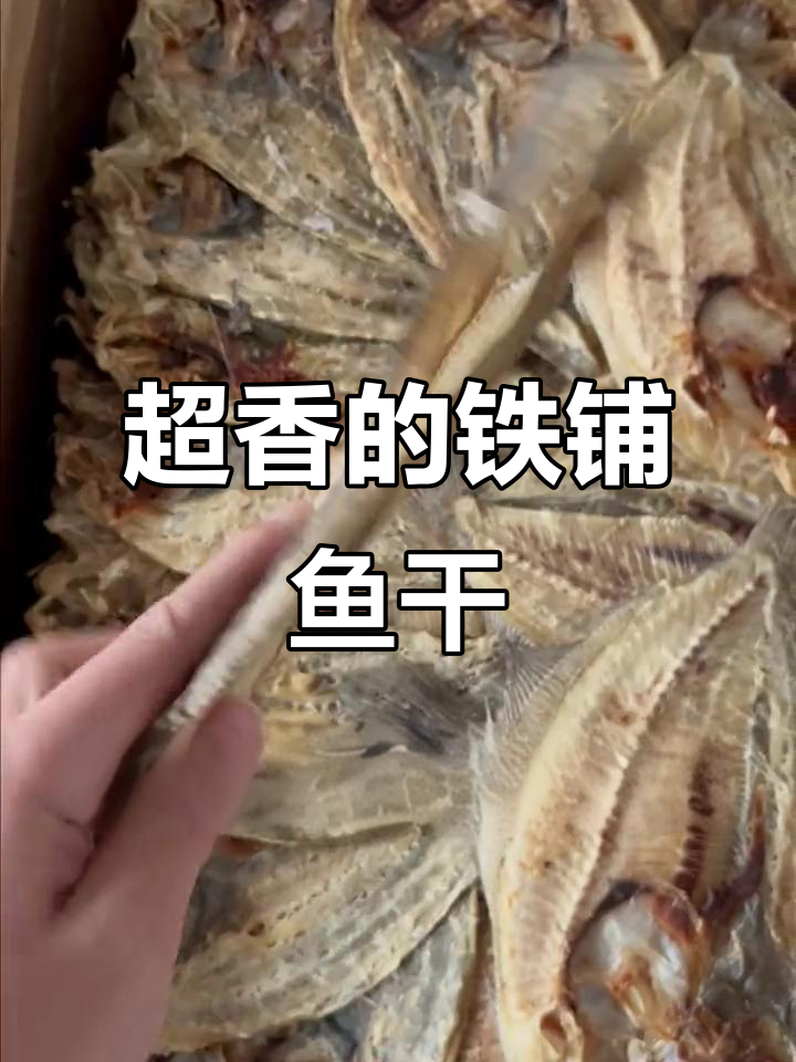 广东人最爱的铁铺鱼干,鲜香无敌,饭店必备提味神器