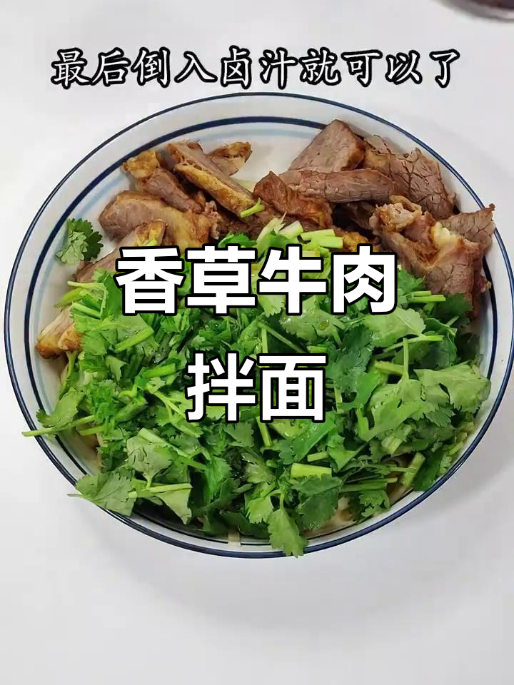 香菜牛肉面,简单又美味!教你做正宗卤味面条