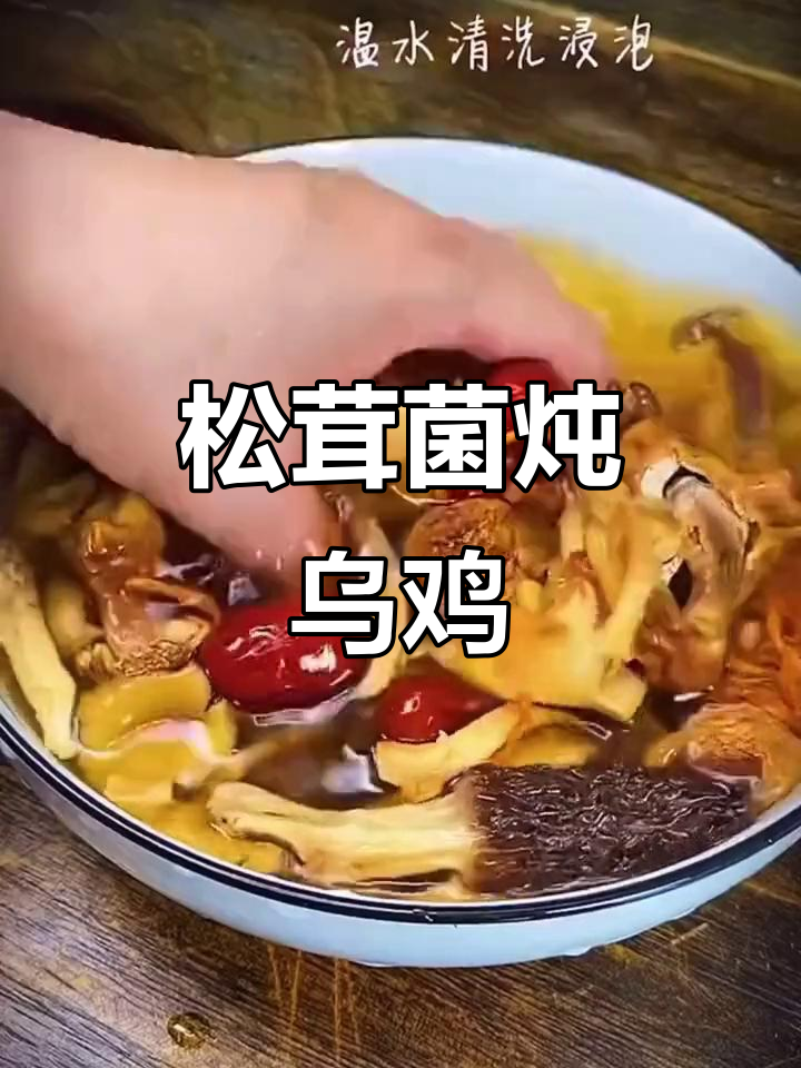 云南松茸乌鸡汤,滋补养生必备汤包