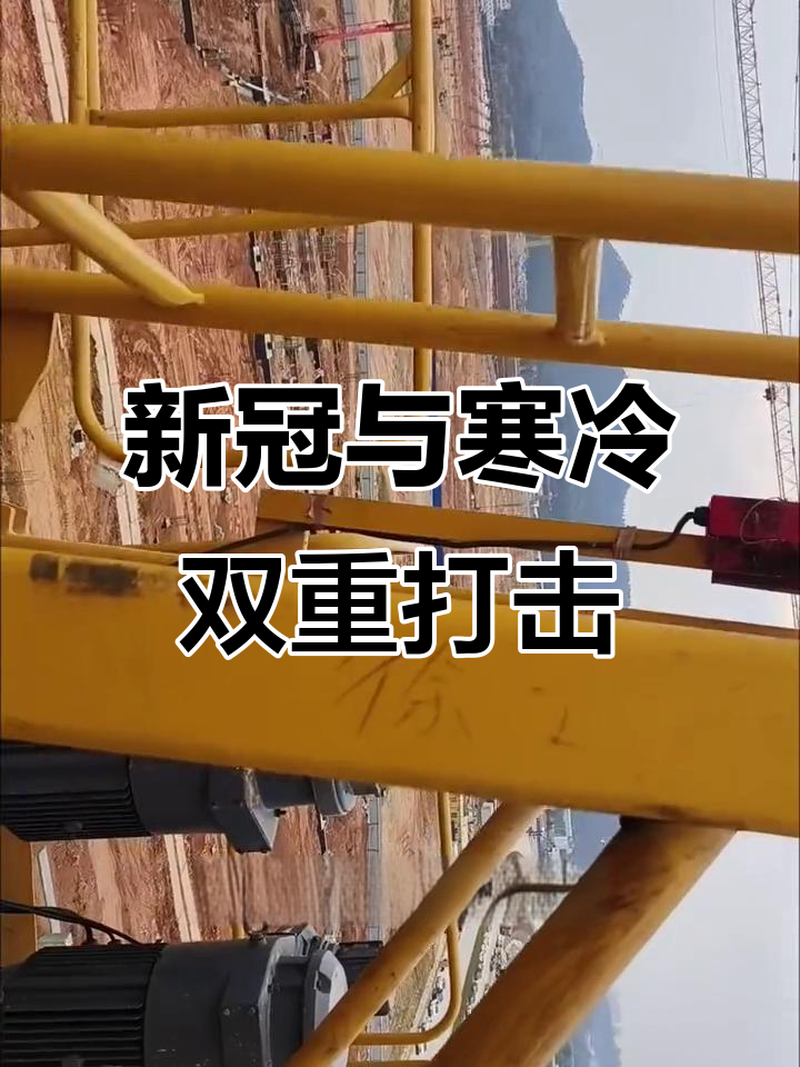 冷得要命,鸡也不买了!新冠病毒让人心寒