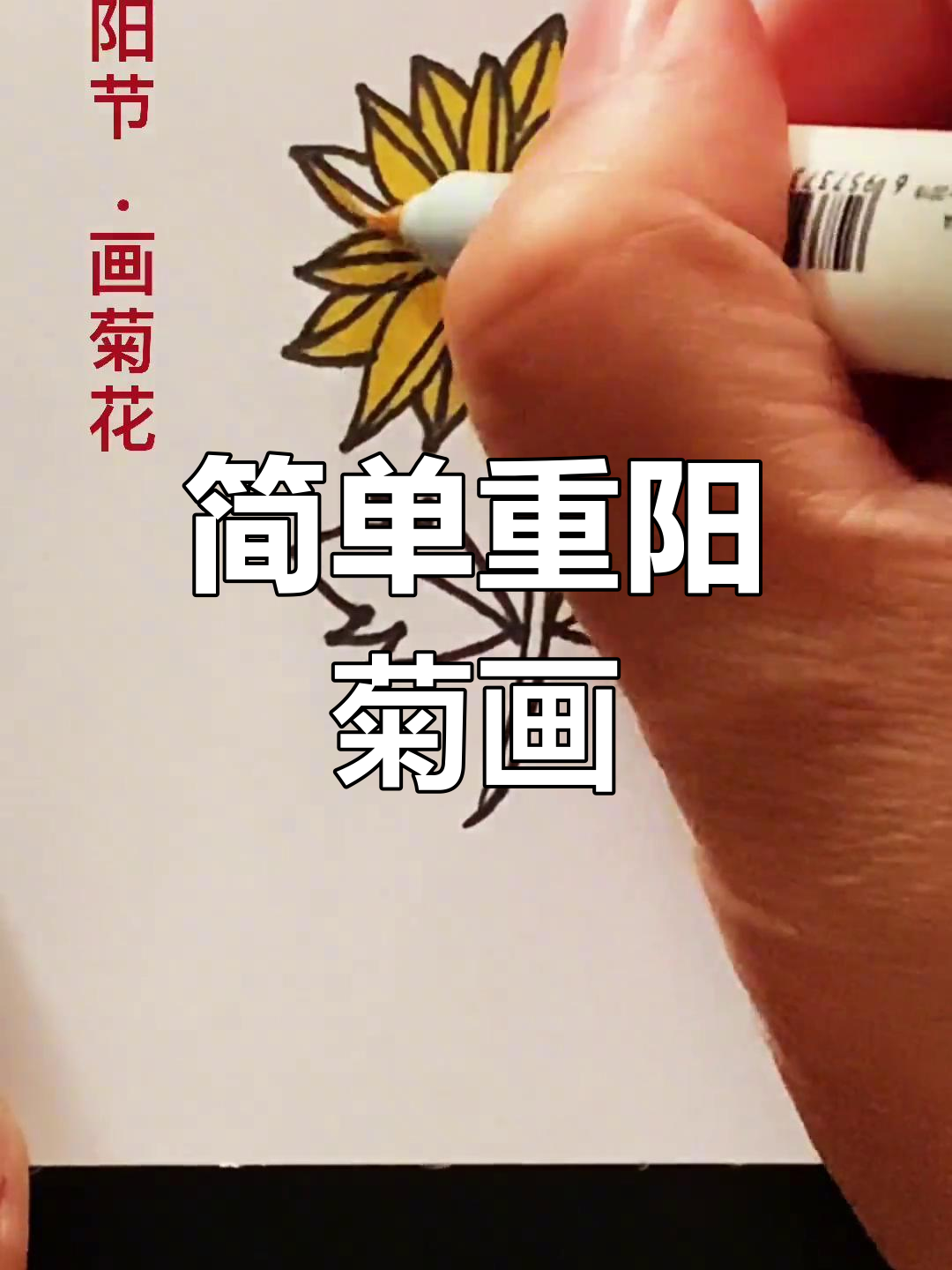 重阳节菊花简笔画,轻松学会送孩子