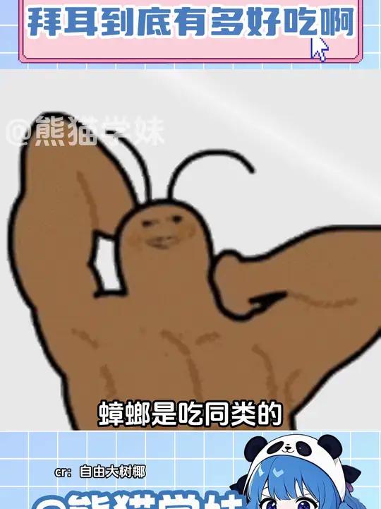 以拜耳到底多好吃