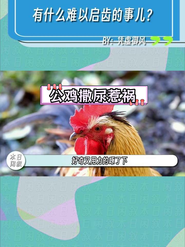 小时候的糗事:公鸡与尿