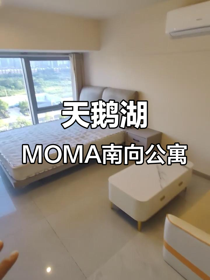 政务区天鹅湖MOMA公寓:朝南户型,设施齐全,采光极佳
