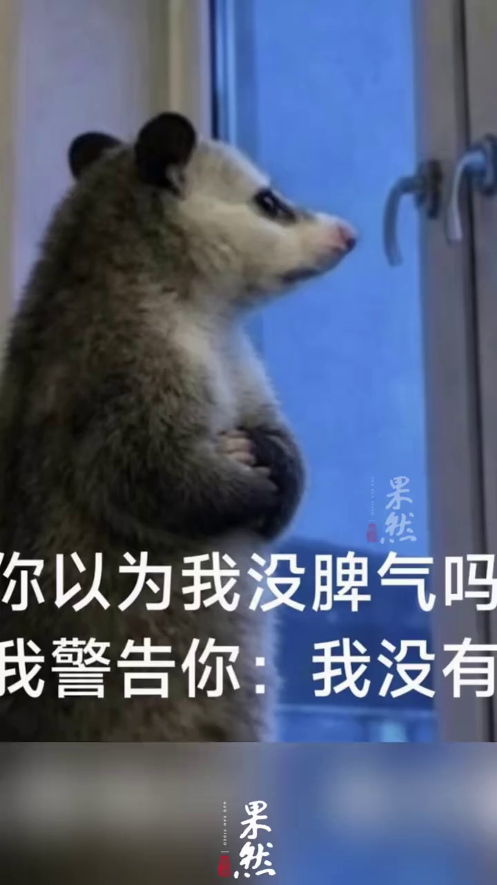 “背手负鼠”表情包好火 它到底是个啥？