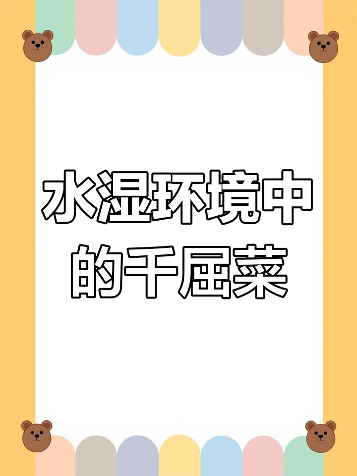 千屈菜:庭院水景植物推荐