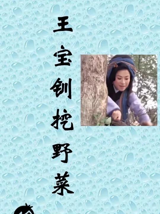 王宝钏挖野菜是什么梗?(恋爱脑朋友看看)