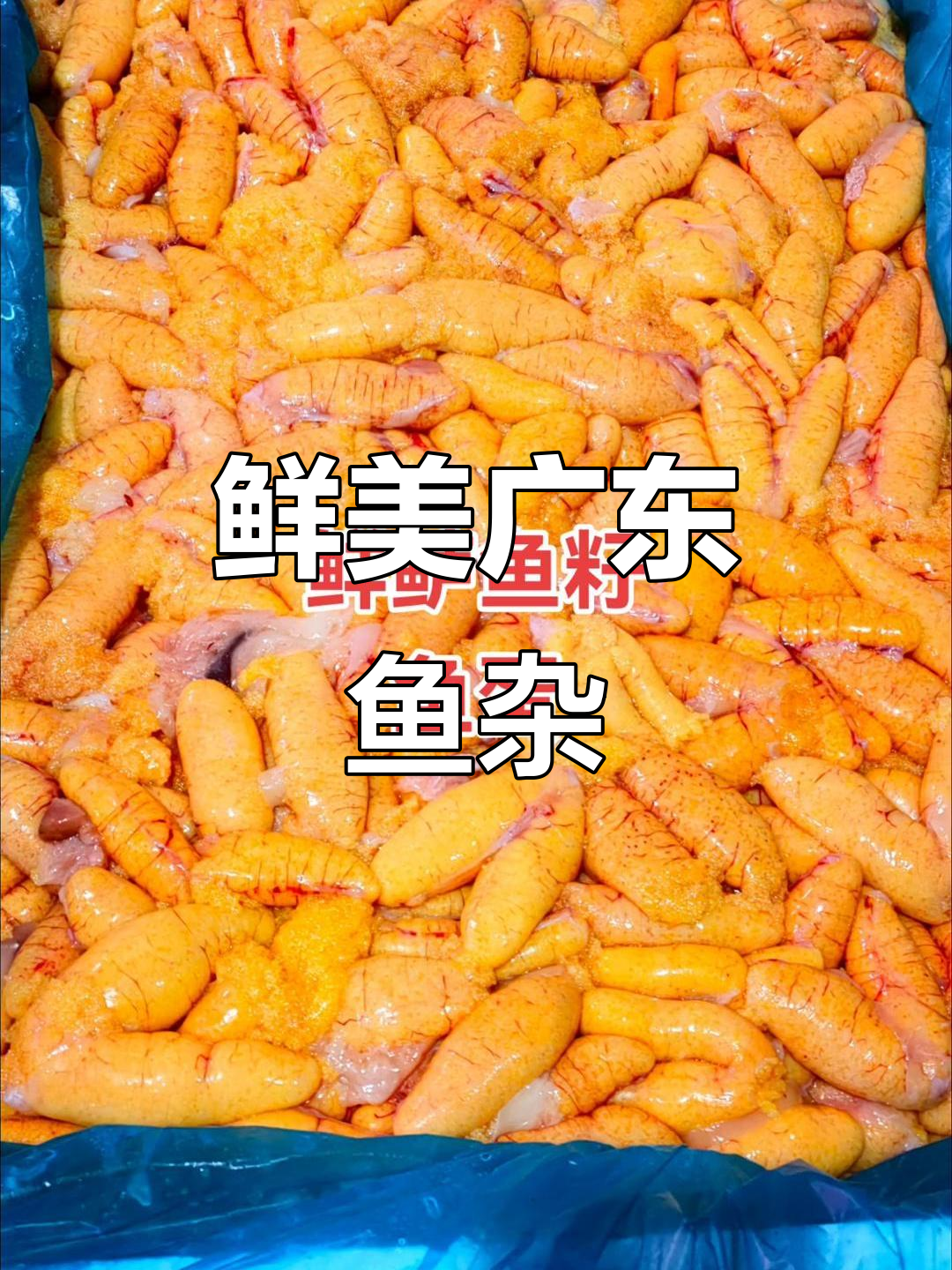 广东鱼杂大揭秘:鲜鲈鱼肉、鱼籽、泡肚一网打尽