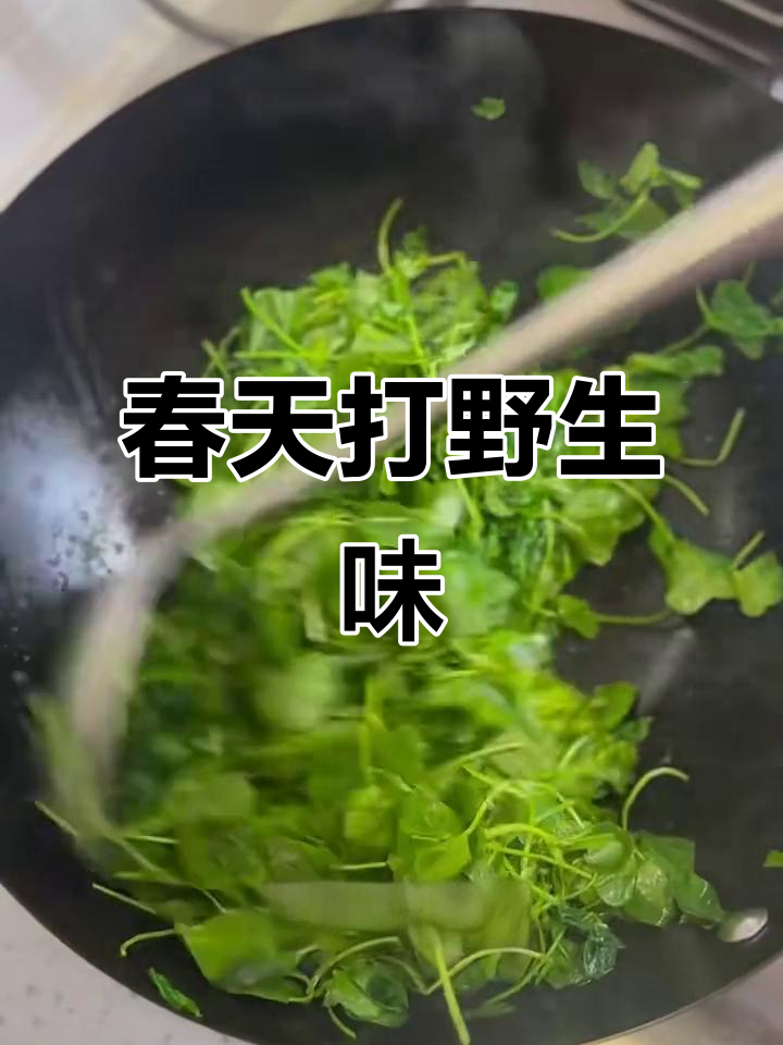 春天的味道，从打野开始