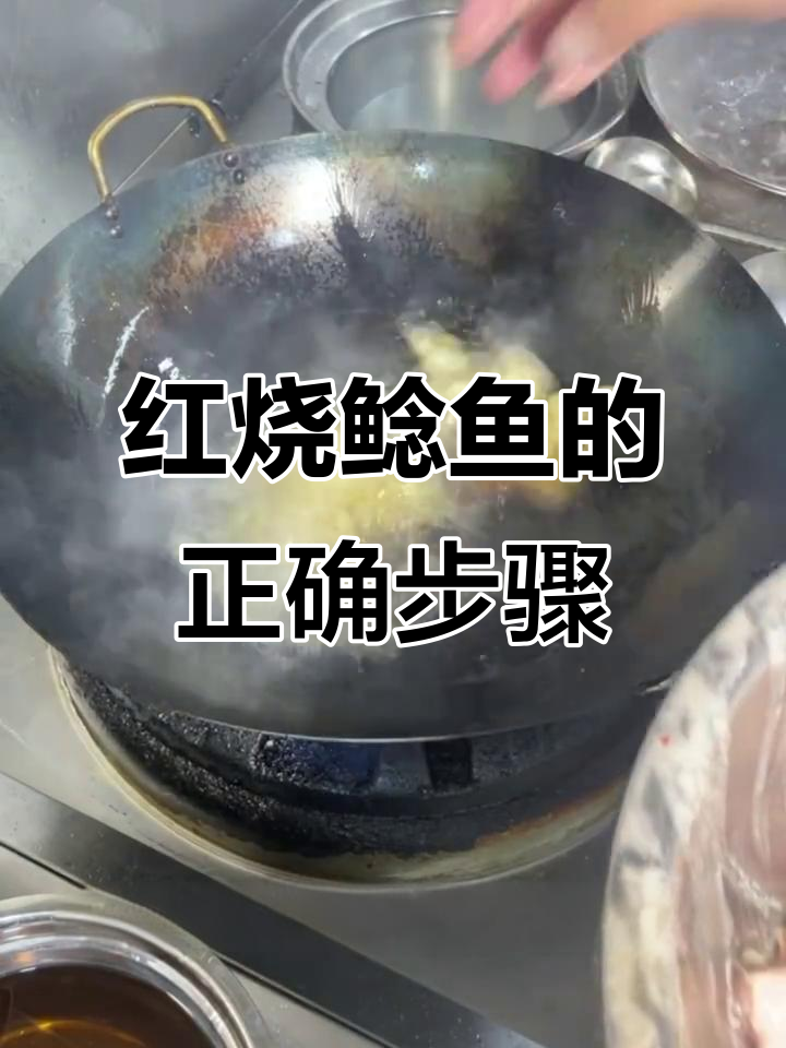 鲶鱼做法大揭秘,红烧技巧全攻略