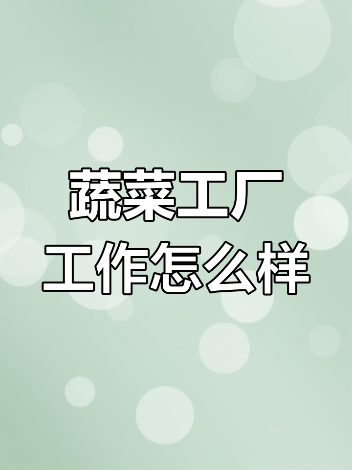 蔬菜加工厂的工资待遇如何?工作环境和危险程度揭秘