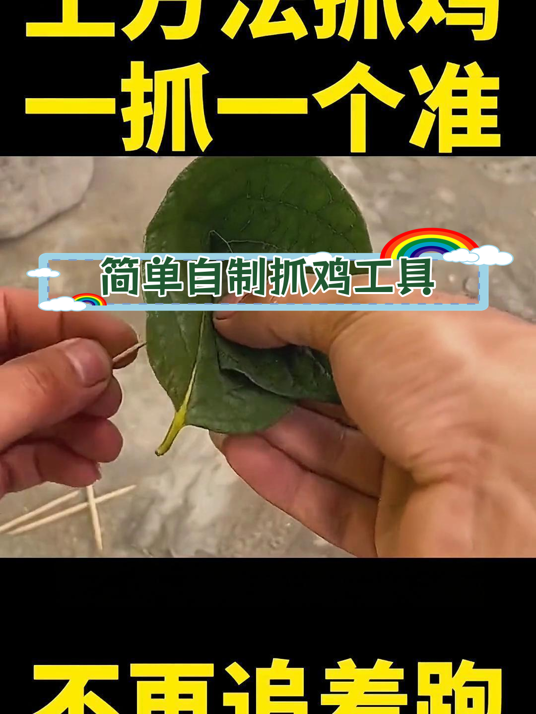 用树叶做抓鸡神器,轻松捕捉家禽