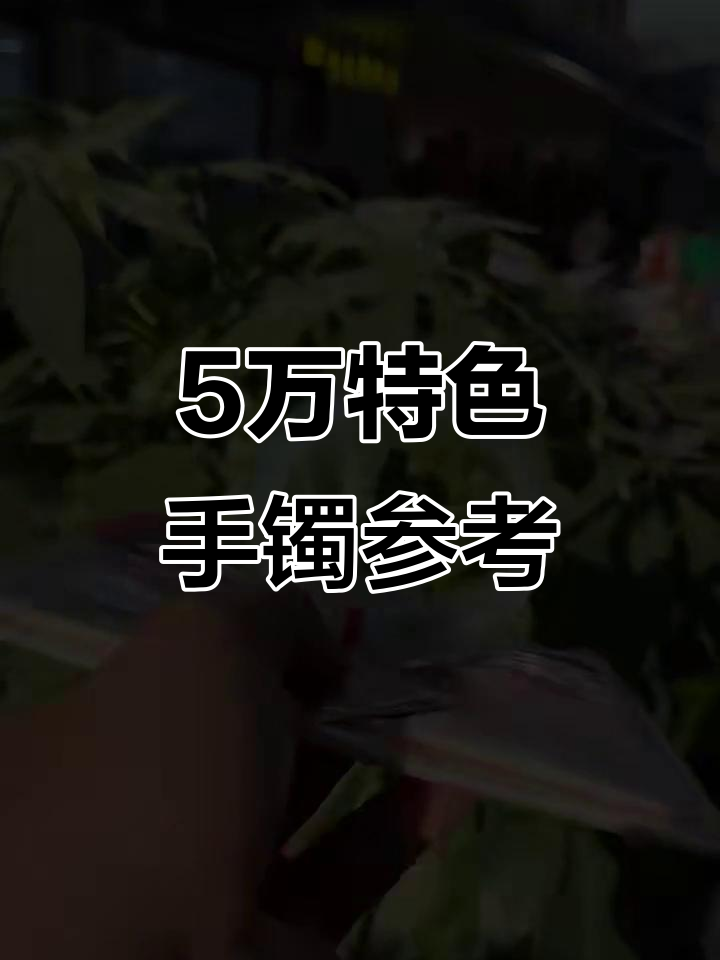 五万左右特色手镯推荐,半山半水与冰乌鸡款式解析