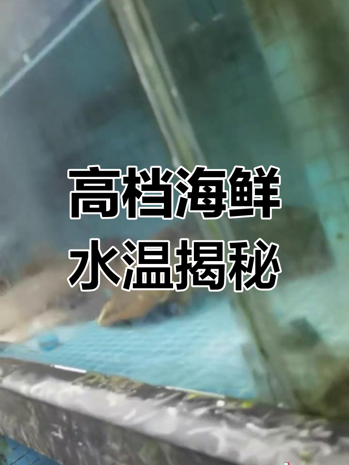 高端海鲜养殖温度与盐度解析