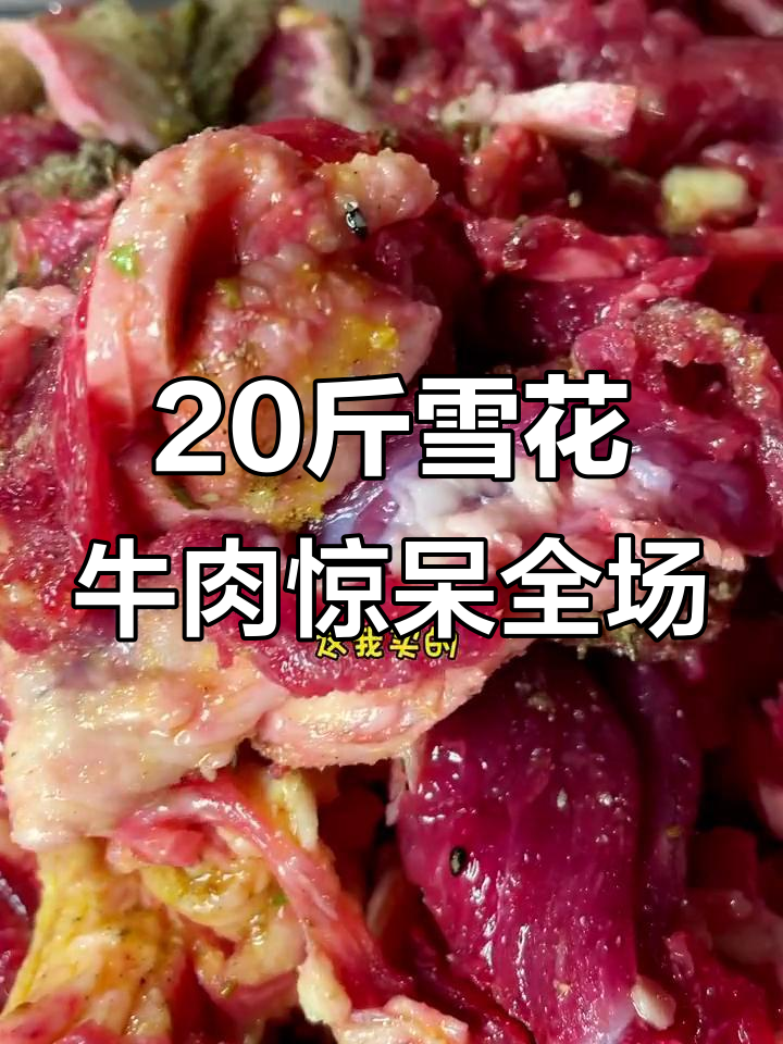 二十斤胸口肥肉,竟然被七号大姐买走!