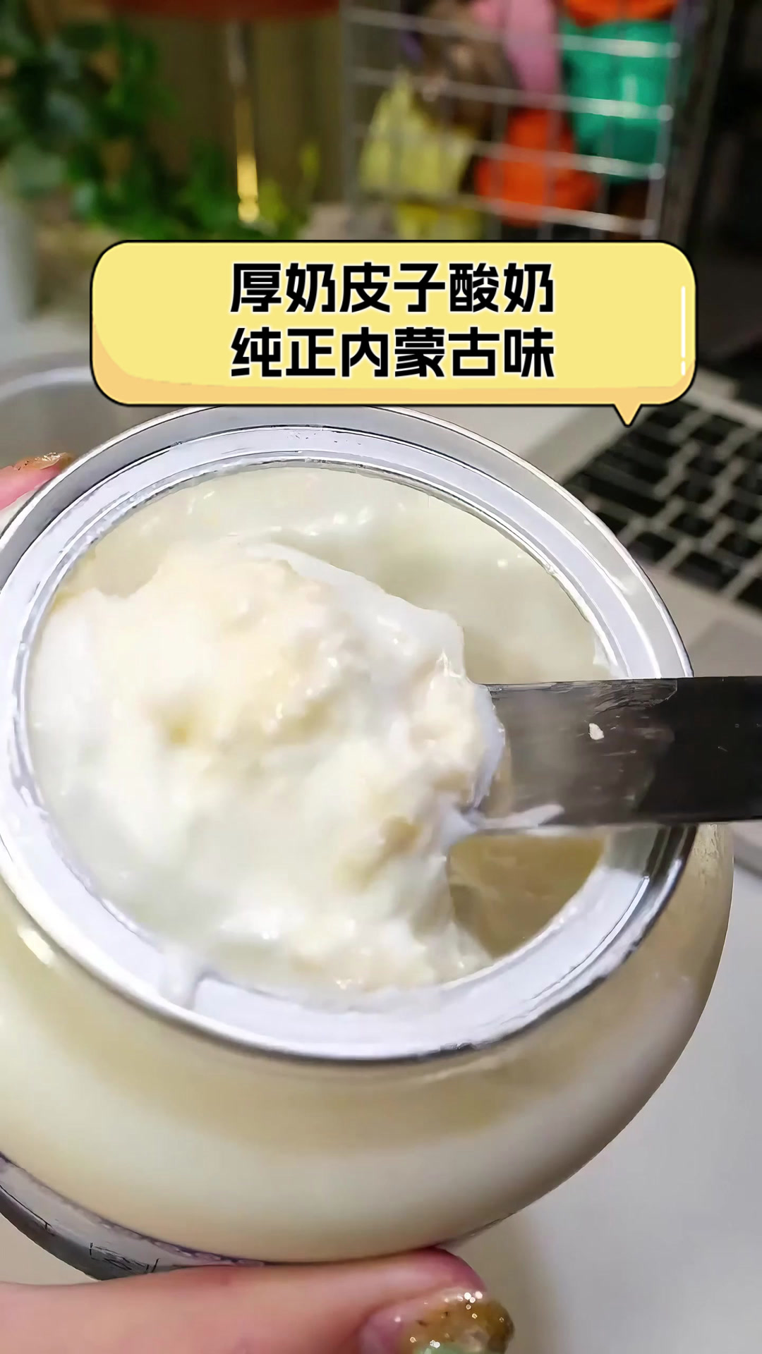 厚奶皮子酸奶,纯正内蒙古味