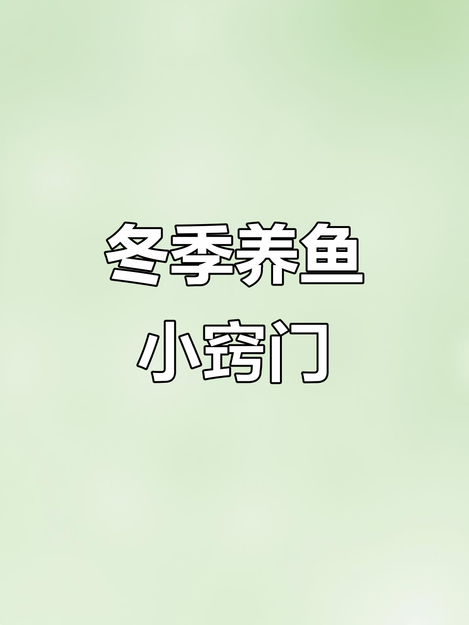 冷水鱼虽耐寒,冬天仍需加热棒保持最佳状态