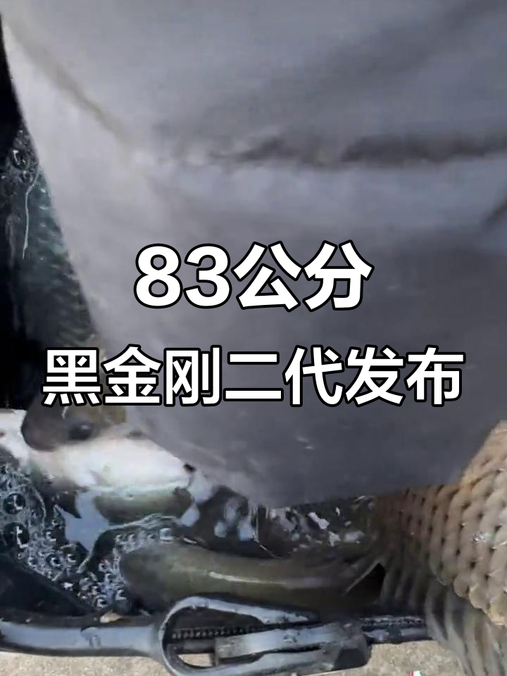 黑金刚二代新品上市,83公分超轻磁感鱼竿等你体验