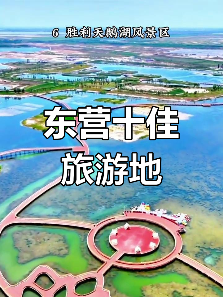 东营十大必打卡景点,畅游黄河口与天鹅湖