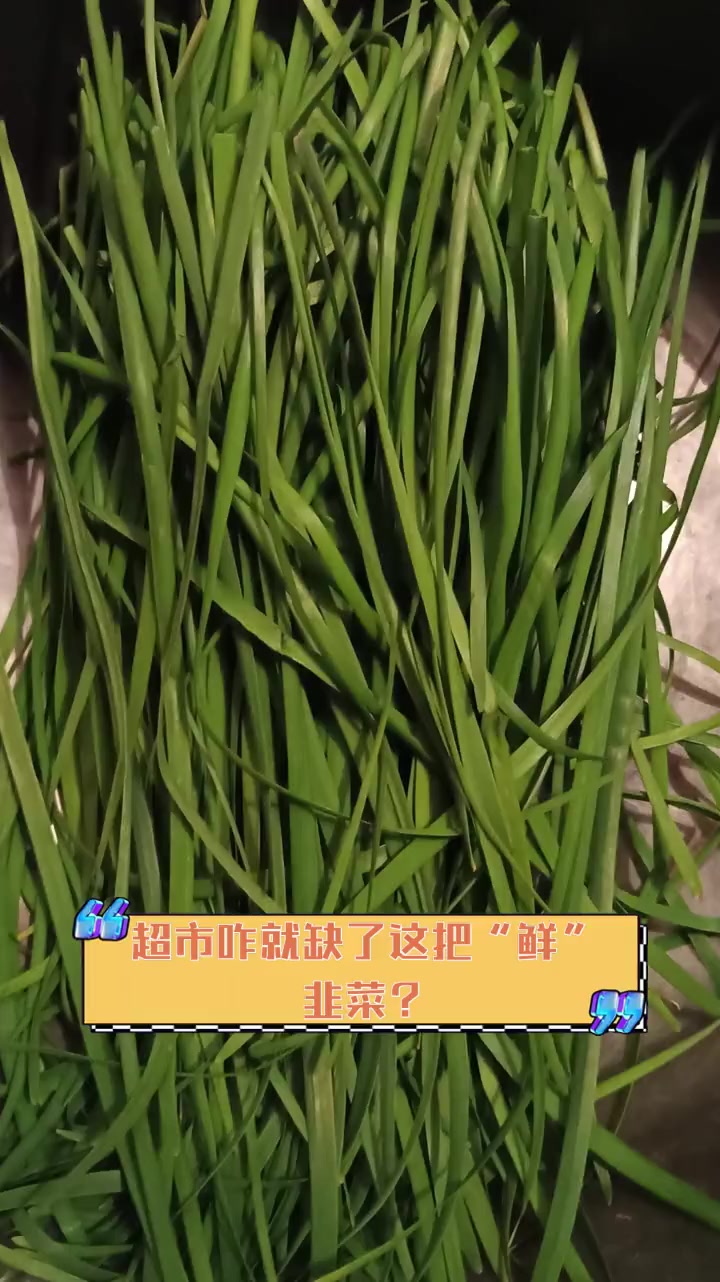 超市咋就缺了这把“鲜”韭菜?