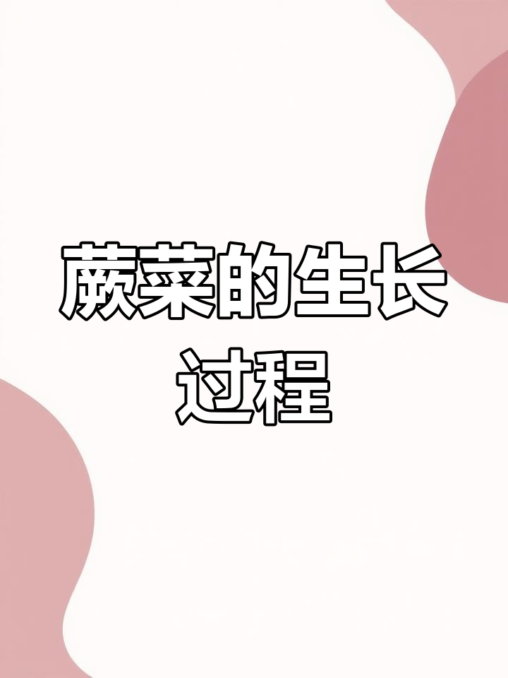 蕨菜成长全纪录:从婴儿到青壮年,一步步看变化