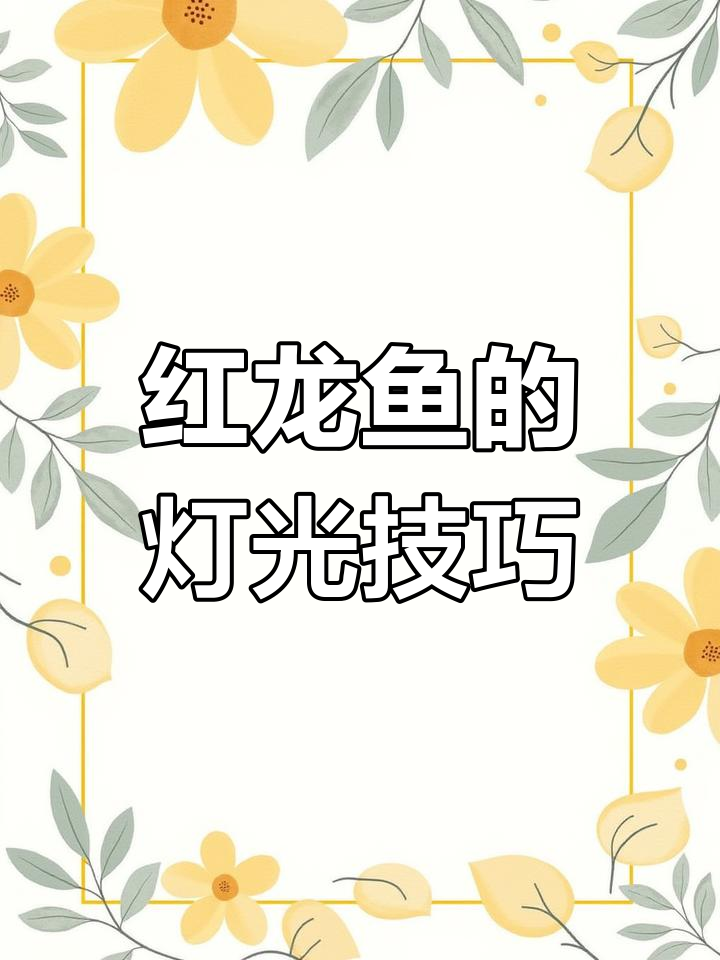 灯光使用误区,如何正确养红龙鱼