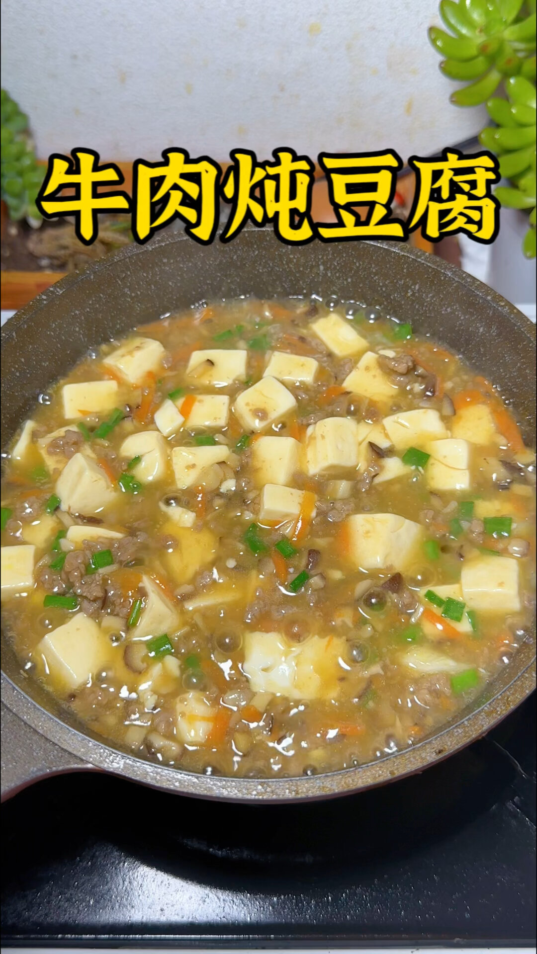 牛肉炖豆腐
