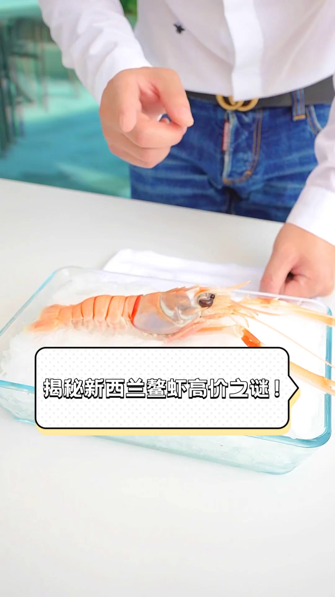 揭秘新西兰鳌虾高价之谜!