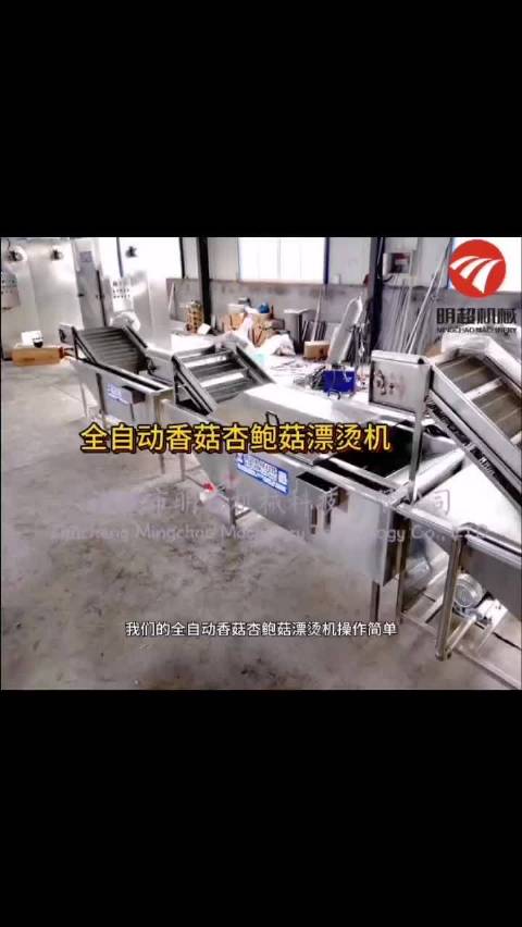全自动香菇杏鲍菇漂烫机是一款自动化设备。物料经过预煮漂烫可以杀菌护色,延长保质期。设备采用