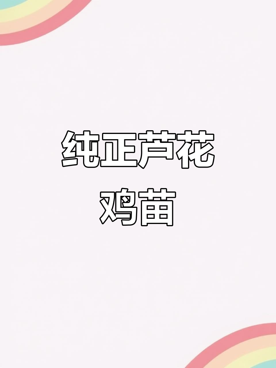 翔安区汶上芦花鸡苗，养殖优势大揭秘